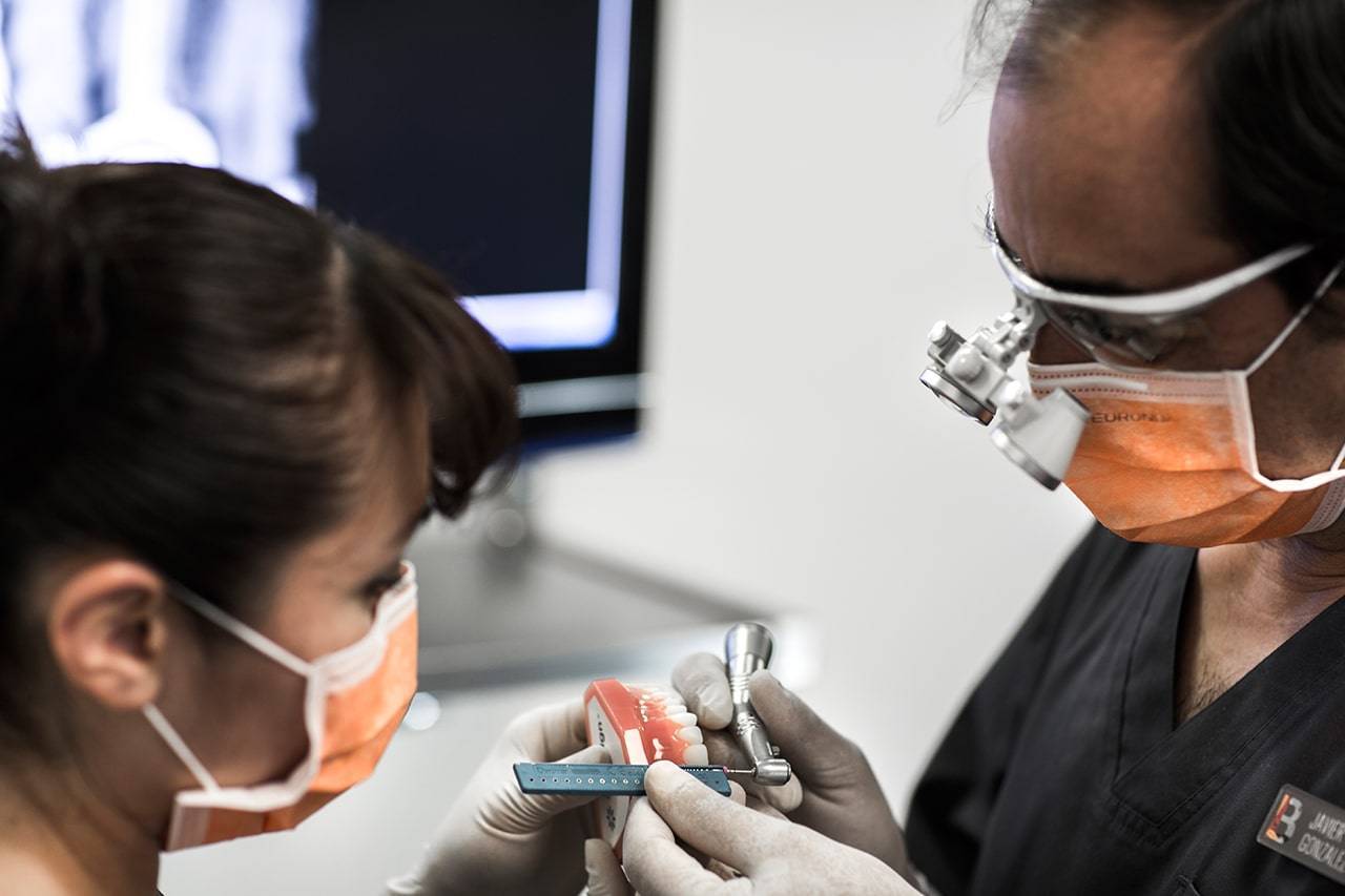 Endodoncia